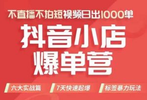 抖店商品卡运营班(8月份),从0-1学习抖音小店全部操作方法,不直播不拍短视频日出1000单-资源云
