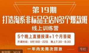 打造淘系非标全店N多个爆款线上课,5天直播课-资源云