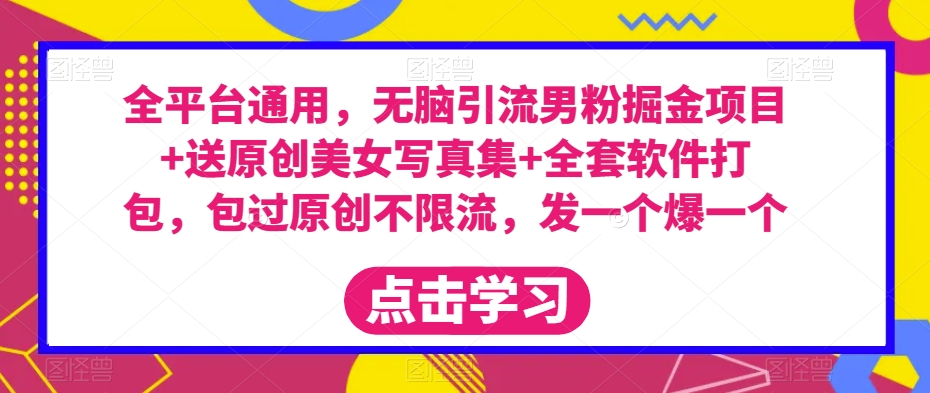 全平台通用，无脑引流男粉掘金项目+送原创美女写真集+全套软件打包，包过原创不限流，发一个爆一个【揭秘】-资源云