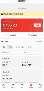 拼多多无人直播不封号玩法，0投入，3天必起，日入1000+-资源云