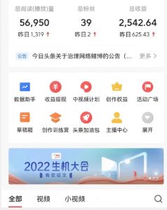 全新蓝海,西瓜视频流量掘金项目,简单上手适合0基础小白,暴力玩法日入500+【揭秘】-资源云