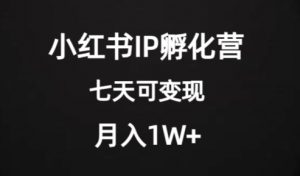价值2000+的小红书IP孵化营项目,超级大蓝海,七天即可开始变现,稳定月入1W+-资源云