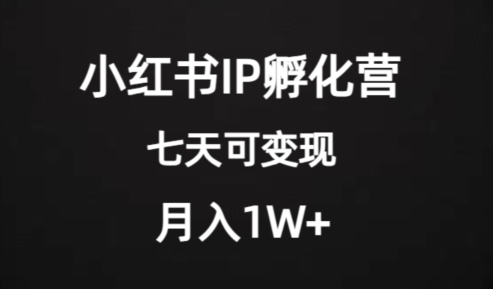 价值2000+的小红书IP孵化营项目，超级大蓝海，七天即可开始变现，稳定月入1W+-资源云