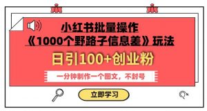 小红书批量操作《1000个野路子信息差》玩法,一分钟制作一个图文,不封号,日引100+创业粉-资源云
