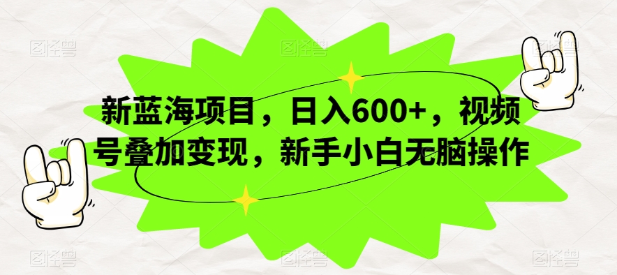 新蓝海项目，日入600+，视频号叠加变现，新手小白无脑操作【揭秘】-资源云