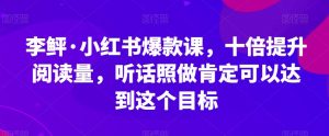 李鲆·小红书爆款课,十倍提升阅读量,听话照做肯定可以达到这个目标-资源云