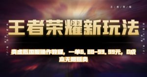 王者荣耀新玩法,卖虚拟国服操作教程,一单6.88-99.99元,0成本无限贩卖【揭秘】-资源云