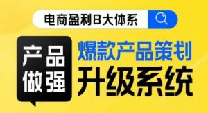 电商盈利8大体系 ·产品做强爆款产品策划系统升级线上课,全盘布局更能实现利润突破-资源云