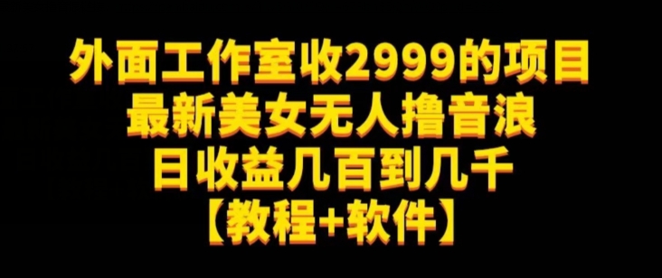 外面工作室收2999的项目最新美女无人撸音浪日收益几百到几千【教程+软件】（仅揭秘）-资源云