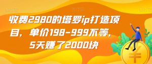 收费2980的塔罗ip打造项目,单价198-999不等,5天赚了2000块【揭秘】-资源云