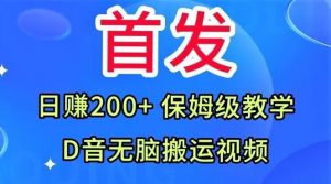 首发,抖音无脑搬运视频,日赚200+保姆级教学【揭秘】-资源云