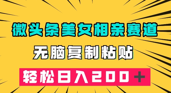 微头条冷门美女相亲赛道，无脑复制粘贴，轻松日入200＋【揭秘】-资源云
