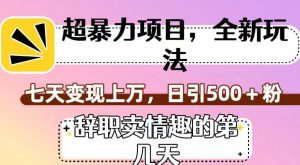 超暴利项目,全新玩法(辞职卖情趣的第几天),七天变现上万,日引500+粉【揭秘】-资源云