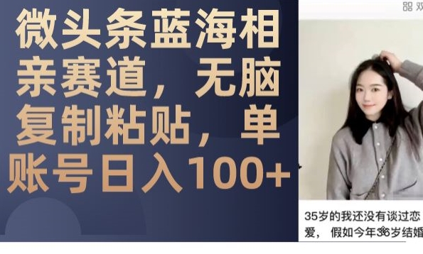 微头条蓝海相亲赛道，无脑复制粘贴，单账号日入100+-资源云