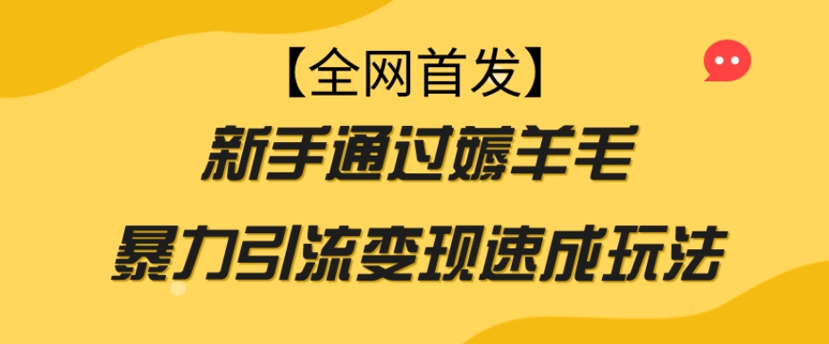 【全网首发】新手通过薅羊毛暴力引流变现速成玩法-资源云