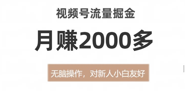 视频号流量掘金，无脑操作，对新人小白友好，月赚2000多【揭秘】-资源云