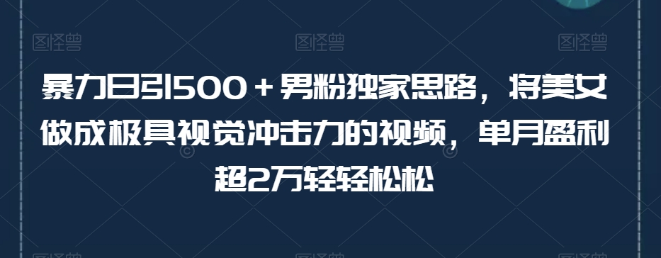 暴力日引500＋男粉独家思路，将美女做成极具视觉冲击力的视频，单月盈利超2万轻轻松松-资源云