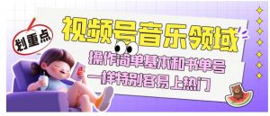 视频号音乐领域项目玩法,操作简单基本和书单号一样,特别容易上热门【揭秘】-资源云