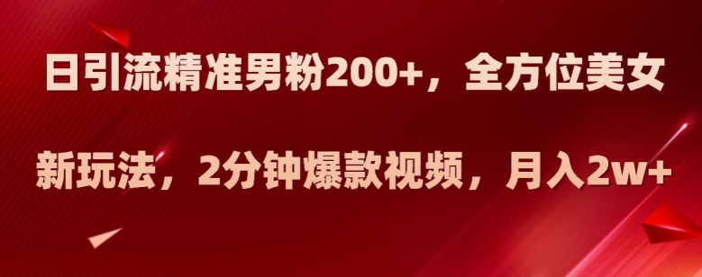 日引流精准男粉200+，全方位美女新玩法，2分钟爆款视频，月入2w+【揭秘】-资源云
