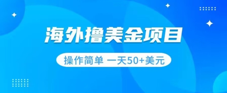 撸美金项目无门槛操作简单小白一天50+美刀-资源云