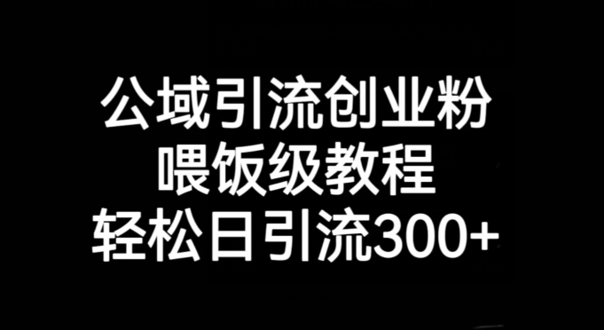 公域引流创业粉，喂饭级教程，轻松日引流300+【揭秘】-资源云