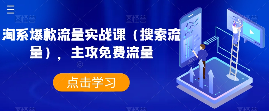 淘系爆款流量实战课（搜索流量），主攻免费流量-资源云