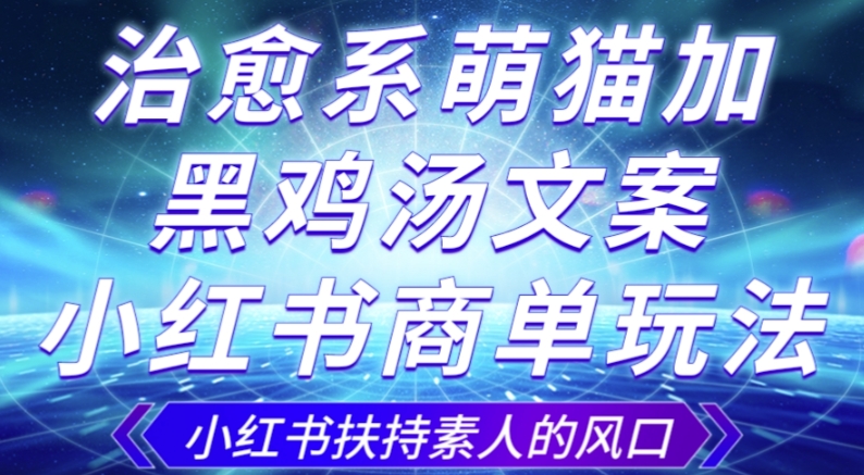 治愈系萌猫加+黑鸡汤文案，小红书商单玩法，3~10天涨到1000粉，一单200左右-资源云
