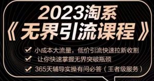 2023淘系无界引流实操课程,小成本大流量,低价引流快速拉新收割,让你快速掌握无界突破瓶颈-资源云