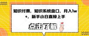 知识付费,知识系统盘口,月入1w+,新手小白直接上手-资源云