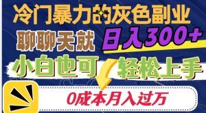 冷门暴利的副业项目，聊聊天就能日入300+，0成本月入过万【揭秘】-资源云