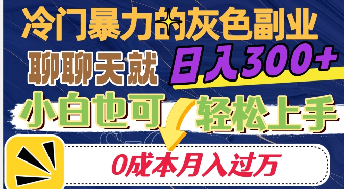 冷门暴利的副业项目，聊聊天就能日入300+，0成本月入过万【揭秘】-资源云