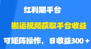 搬运视频获取平台收益,平台红利期,附保姆级教程【揭秘】-资源云