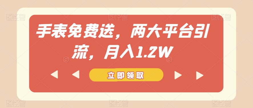 手表免费送，两大平台引流，月入1.2W【揭秘】-资源云