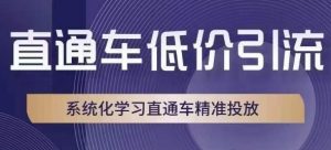 直通车低价引流课,系统化学习直通车精准投放-资源云