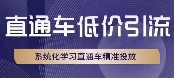 直通车低价引流课，系统化学习直通车精准投放-资源云