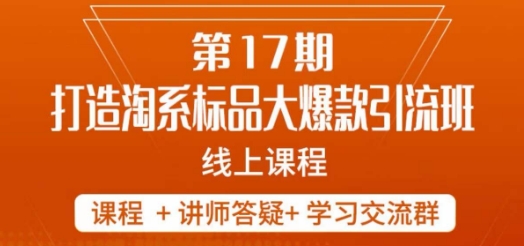 南掌柜-第17期打造淘系标品大爆款，5天线上课-资源云