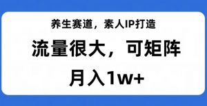 养生赛道,素人IP打造,流量很大,可矩阵,月入1w+【揭秘】-资源云