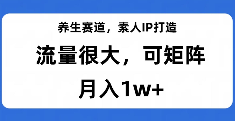 养生赛道，素人IP打造，流量很大，可矩阵，月入1w+【揭秘】-资源云