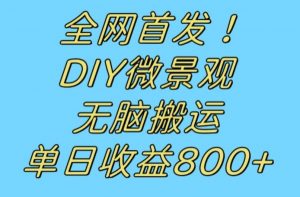 全网首发冷门赛道!DIY微景观,无脑搬运视频,日收益800+【揭秘】-资源云