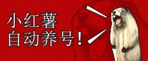 小红书养号秘籍,如何自动涨粉清晰系统标签打造高权重账号【揭秘】-资源云