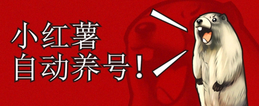 小红书养号秘籍，如何自动涨粉清晰系统标签打造高权重账号【揭秘】-资源云