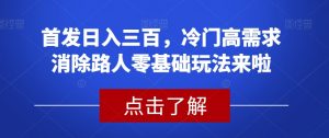 首发日入三百,冷门高需求消除路人零基础玩法来啦【揭秘】-资源云