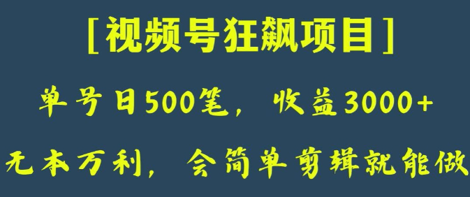 日收款500笔，纯利润3000+，视频号狂飙项目，会简单剪辑就能做【揭秘】-资源云
