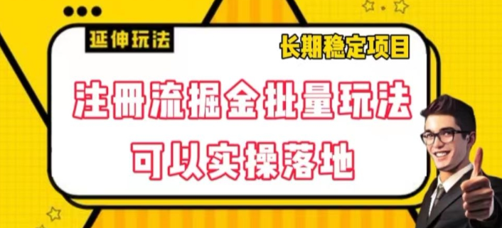 注册流掘金批量玩法，可以实操落地【揭秘】-资源云