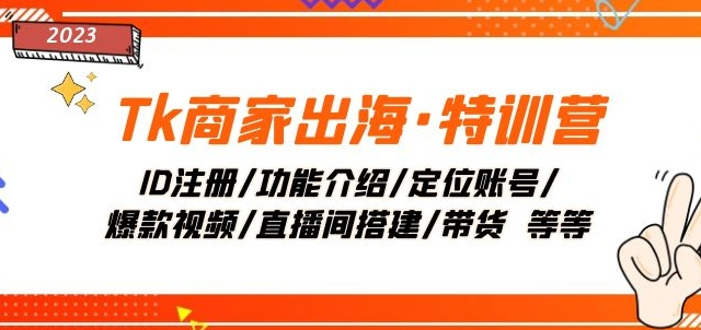 Tk商家出海·特训营：ID注册/功能介绍/定位账号/爆款视频/直播间搭建/带货-资源云