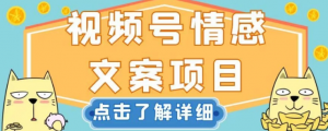 视频号情感文案项目，简单操作，新手小白轻松上手日入200+【揭秘】-资源云