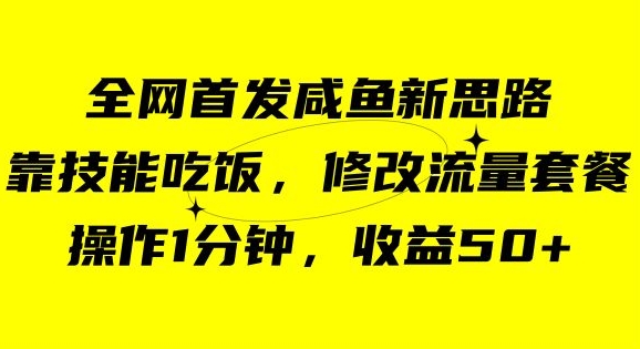 咸鱼冷门新玩法，靠“技能吃饭”，修改流量套餐，操作1分钟，收益50【揭秘】-资源云