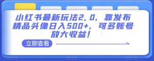 小红书最新玩法2.0,靠发布精品头像日入500+,可多账号放大收益!【揭秘】-资源云