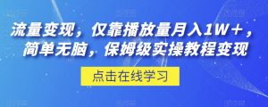 流量变现,仅靠播放量月入1W+,简单无脑,保姆级实操教程【揭秘】-资源云