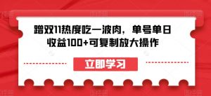 蹭双11热度吃一波肉,单号单日收益100+可复制放大操作【揭秘】-资源云